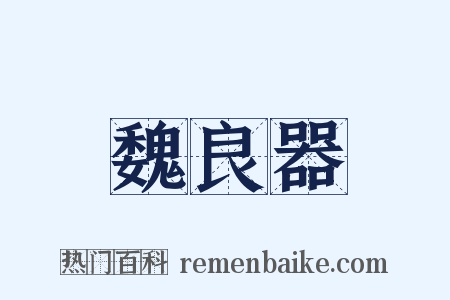 魏良器是什么意思的图片